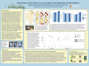 scientific poster about point of care device to monitor birds